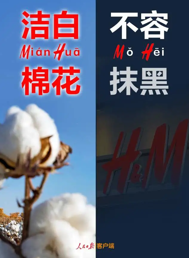 潔白棉花，不容抹黑，花榮華與華一起