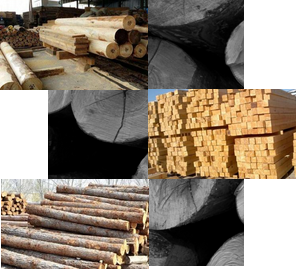 百年品質(zhì)傳承，源于每一環(huán)節(jié)的考究